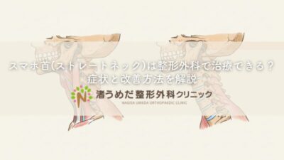 スマホ首(ストレートネック)は整形外科で治療できる？症状と改善方法を解説のアイキャッチ画像