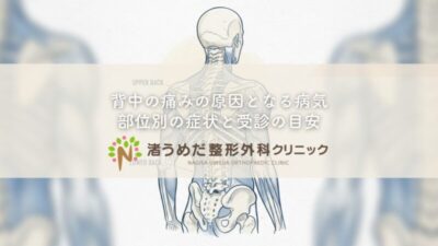 背中の痛みの原因となる病気〜部位別の症状と受診の目安のアイキャッチ画像